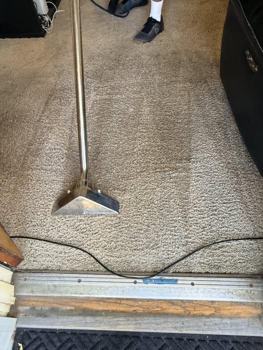 Professional carpet extraction cleaning