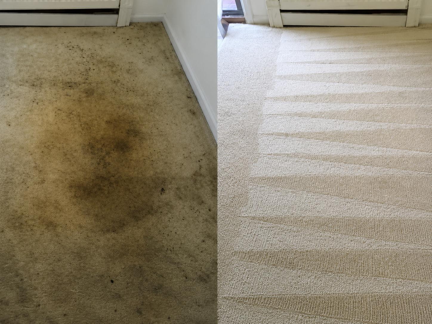 Before and after carpet cleaning result