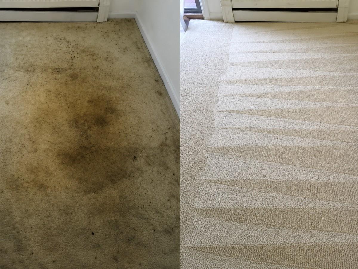 Carpet showing before-and-after hot steam extraction results